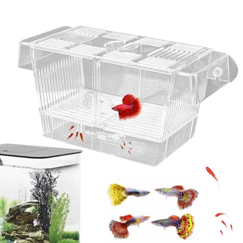 1/2 Fish Acclimation Box - Acrylic Hatchery Incubator Tank, Fish Breeder Box with 2 Suction Cups | Easily Install Breeding Isolation Box, Floating Breeding Box for Baby Fishes Shrimp Betta Guppy - size: Large