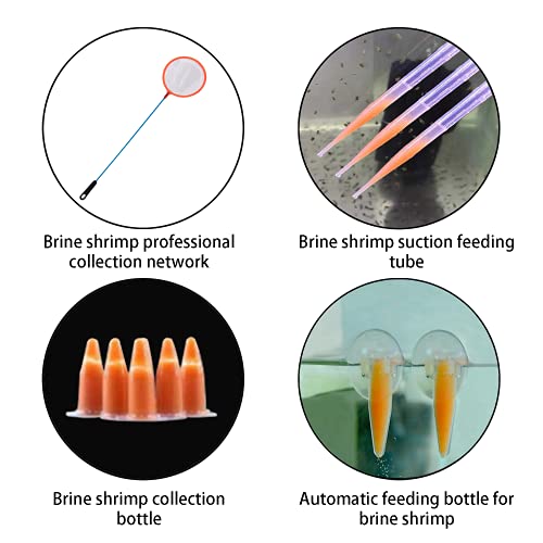 NestBasics Brine Shrimp Hatchery Kit - Artemia Eggs Incubator
