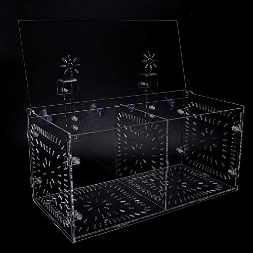 Fish Breeding Box Acrylic Fish Isolation Box Fish Seedlings Incubator Aquarium Fish Breeder Box with Isolation Board for Baby Fishes Shrimp Clownfish and Guppy(30CM*15CM*15CM)