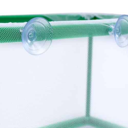 MY MIRONEY 2PCS 10.43" x 5.91" x 5.91" Fish Tank Breeder, Green | Nylon Fish Incubator Mesh Box Aquarium Fish Fry Hatchery Breeder with Suction Cups - style: 10.43" x 5.91" x 5.91"; Green; without Divider