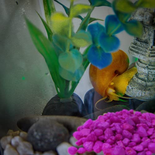 Needzo Hermit Crab Gravel Substrate with Scooper, Neon Rocks for Terrarium and Aquarium Habitats, Colors May Vary