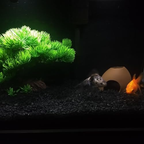 Saim Aquarium Decorations Ceramic Cave,Betta Fish Tank Accessories for Betta Fishes Shrimp Shelter Breeding Tube Hiding, Aquatic Pets to Rest, Betta Fish Toys