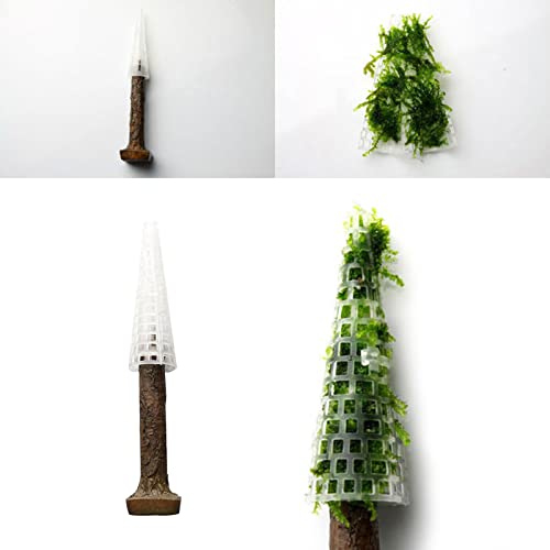 Aquarium Moss Decoration Fish for Holder Creating Your Own Trees Landscape Grow