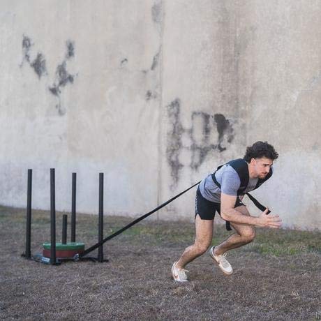 Universal Sled Harness Pulling Fitness – Prowler Sled Harness Medium Size with 7 feet long Straps - size: Large