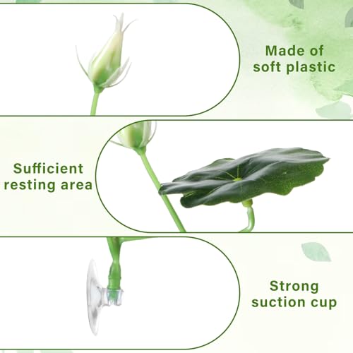 QfwdfcTrenz 3 Pcs Betta Fish Bed Betta Leaf Hammock Suction Cup Tank Decor Fish Toys Leaf Pad Leaves Tank Accessories Simulates Natural Habitat Comfortable Rest Area