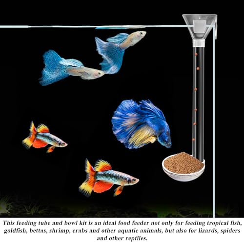 Aquarium Fish Shrimp Feeding Dish Set, Shrimp Feeding Dish Set, Transparent Shrimp Feeding Adjustable Tube with Feeding Ring, Cleaning Brush for Fish Tank and Preventing Food Scattering (Small) - size: Small