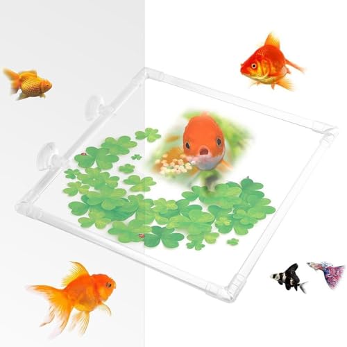 Aquarium Floating Plant Corral Aquarium Food Ring Lawn Clear Patio Yard Garden Acrylic Floating Plant Ring Fish Feeding Ring