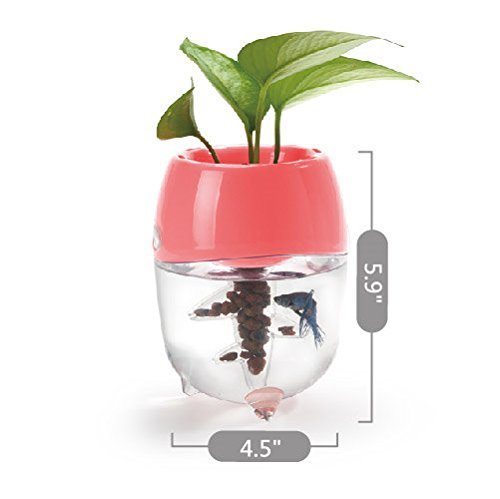 Dr. Moss Aquaponic Fish Tank Aquarium for Betta Fish with Water Garden Planter Top Lid Natural Ecosystem for Plant Growth (Green)