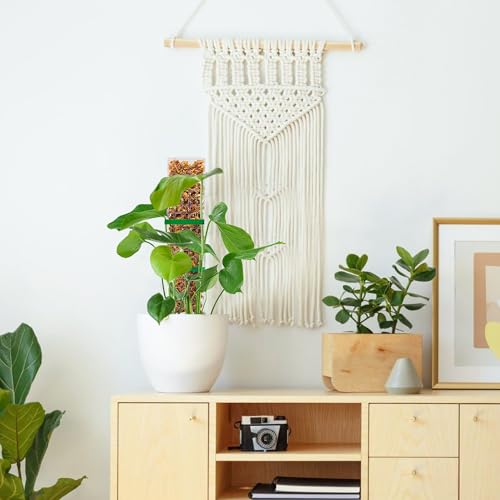 EOX 4 Pcs 36 Inch Plastic Moss Pole for Monstera, Large D Shaped Poles for Climbing Plants Work with Sphagnum Moss, 138 Inch Plant Stake Set of 4, Garden Ties - size: 4 PACK-36Inch