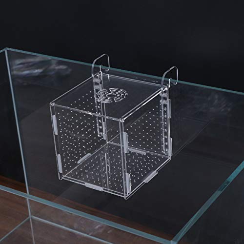 POPETPOP Fish Breeding Box-2 Box Hatchery Incubator Aquarium Fish Breeding Boxes Divider Hatching Boxes Accessory-Hook Pattern - size: Size 5