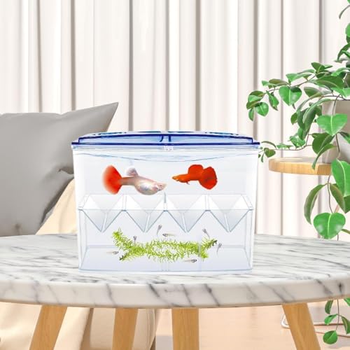 Baoblaze Fish Breeding Box Fish Isolation Box Separation Easy Use Multipurpose Fish Tank Hatchery Incubations Box for Shrimp Baby Fish