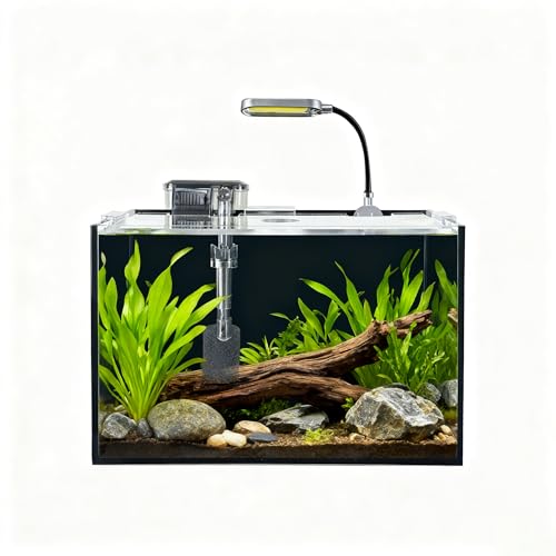 2.5 Gallon Fish Tank Starter Kits, with Led Light, Filter Pump, Cover, Small Fish Tank Betta Aquarium (30x18x20CM) - size: 2.5 Gallon