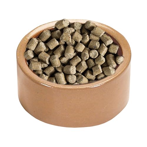 Kaytee Stoneware Ceramic Pet Hamster Bowl, Brown, 5-Inch (Pack of 12) - size: 5 in (Pack of 12)
