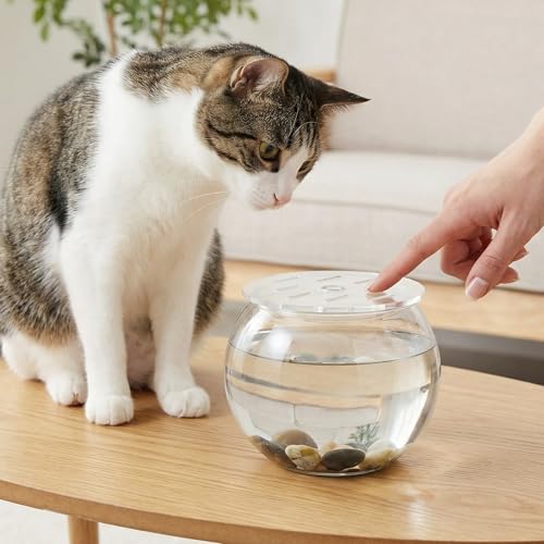 Round Acrylic Fish Tank Lid: 5.12" Clear Aquarium Lid Cover - Round Tank Protective Cover - Replacement Accessory for Fish Bowl Terrarium - size: 13.00X13.00X0.30CM