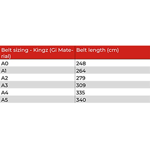 Tatami Fightwear Kid's IBJJF Rank Belt - Green - color: Gray, size: M2
