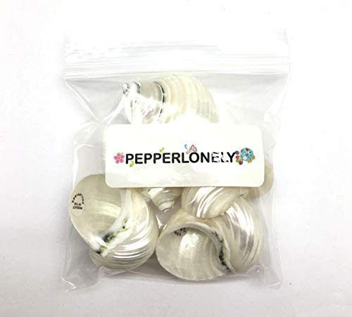 PEPPERLONELY 5PC Pearlized Silver Mouth Turbo, Hermit Crab Sea Shells, 1-1/2 Inch ~ 2 Inch - color: 15#. Pearlized Silver Mouth Turbo, 1-1/2 " ~ 2 "