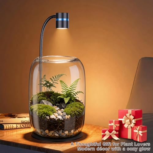 Glass Plant Terrarium with LED Grow Light for Home Office | 8.46" H x 5.9" D, Terrarium with Grow Light for Succulents, Moss, Mini Gardens, Betta Fish Tanks, for Plant Lovers