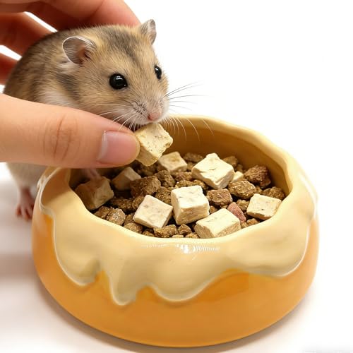 M2cbridge Ceramic Pudding Hamster Food Bowl Feeding Dish Water Bow for Guinea Pig Hedgehog Small Animal(Yellow) - color: Yellow