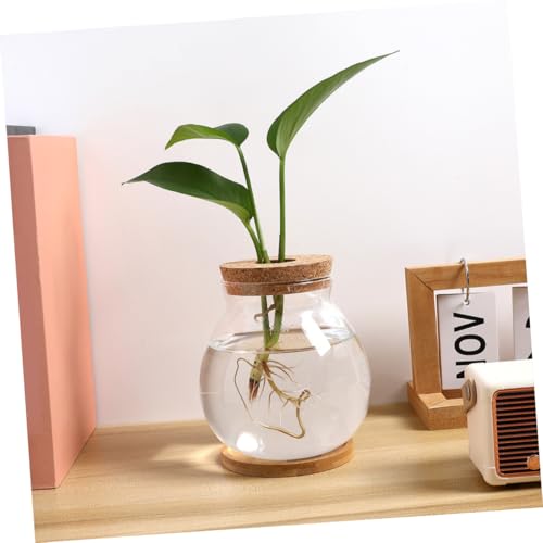 DOITOOL Small Glass Fish Bowl with Lid Mini Desktop Aquarium Hydroponic Fish Tank 10x11cm with Mat and Home Office Terrarium
