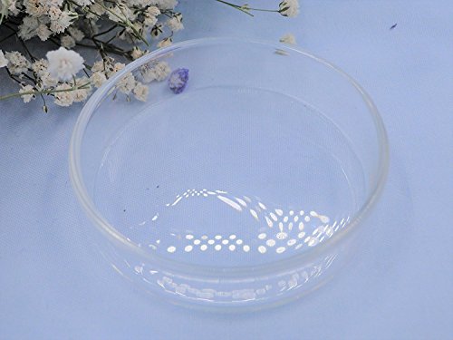ISTA Clear Glass Dish Tray Bowl Shrimp Snail Fish Feeder Food Feeding Aquarium by Aquarium Supplies