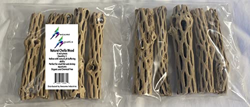 Awesome Aquatic Natural Cholla Choya Wood 5 Pieces 6” for Shrimp Habitat and Food Treat Hermit Crabs Plecos Aquarium Decoration Lowers pH Hideouts and Chew Toys Reptiles Thorn Free Dried Organic - size: 5 pc 6 inch