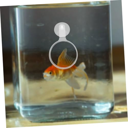 4pcs Acrylic Lens Cup for Fish Tank Observation for Betta Fish -Landscapes and Creatures