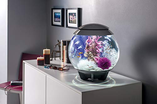 BiOrb 46080.0 Kelp Set Medium Purple Aquariums