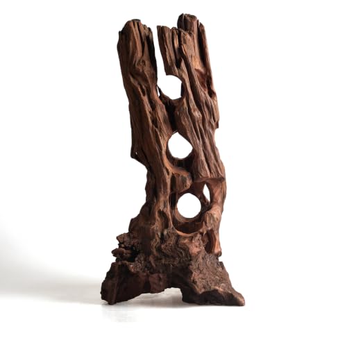 emours Porous Natural Driftwood for Aquarium, Aquascaping Driftwood with Holes, Hand-Selected Tunnels & Hideouts, Aquascaping Hardscape, Terrarium Reptile Décor, No Paint or Resin (16-20" (40-50 cm)) - size: 16-20" (40-50 cm)