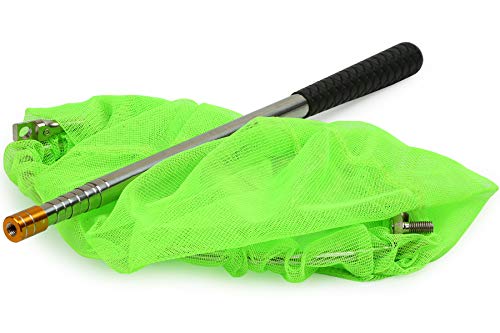 RESTCLOUD Bait Net and Fishing Landing Net with Telescoping Pole Handle Extends to 59 inches - color: Green