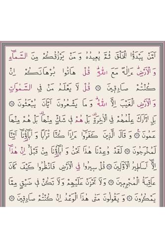 SODEF Rahle Size 30 Juz Quran Set with Carrying Case - Burgundy - Arabic Text - Diyanet & Al-Azhar - 2 Color Print - 613 Pages - Hafiz Osman Script - Includes QR Code for Audio Recitation