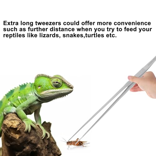 Heavy Duty Extra Long Tweezers for Fish Tank, 18.9 Inch Reptile Snake Feeding Tongs, 304 Stainless Steel Curved Tweezers Tongs for Aquarium Fish Tank Plants (Curved)