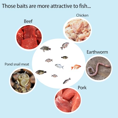 Portable and Plastic Aquarium Minnow&Small Fish Trap for Aquarium Children Fishing Outdoors,Durable Container Bait Trap Suitable for Fishing,Crab,Shrimp,Turtle - size: Small