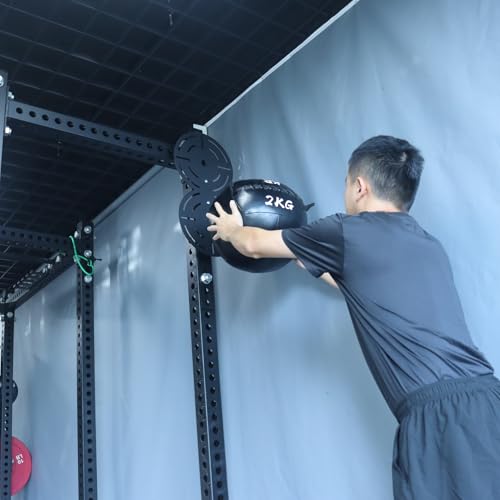 Metal Double Wall Ball Target with Extension Medicine Ball Target Rack Mounted Power Cage Attachments for Strength Endurance Arm Triceps Biceps Workouts - size: Hole Diameter:1"