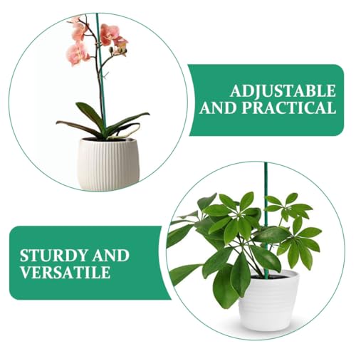 INOOMP 40pcs Plant Support Stakes 45cm Gardening Sticks for Plants Floral Stem Support Poles Sturdy Indoor and Outdoor