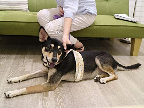 FRESINIDER 9 Rolls Self Adhesive Wrap Athletic Tape Gauze, Breathable Elastic Cohesive Bandage for Sports Injury & Pet (7 Pcs 2" x 5 Yards + 2 Pcs 1" X 5 Yards) (Khaki) - color: Khaki