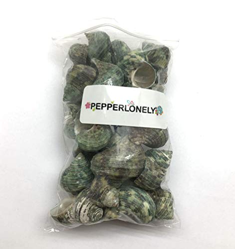 PEPPERLONELY Silver Mouth Green Turbo Hermit Crab Sea Shells, 8 OZ Apprx. 4/3 Inch ~ 1-4/3 Inch - color: 15#. Green, 3/4" ~ 2"