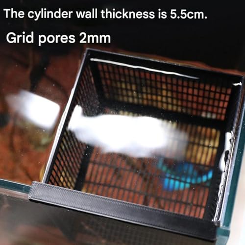 Fry Isolation Box,Aquariums Fishing Fry Isolation Box for Secure Habitat Bettas Fry Ventilation Holes Oxygen Flows Easyly Install - color: Black