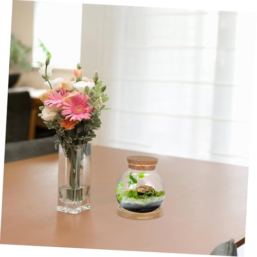 Desktop Hydroponic Glass with Lid Elegant Betta Fish Tank Mat for Plant Lovers for Home Office and Garden Decoration