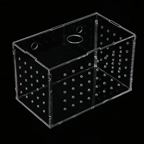 Fish Breeder Box, Aquarium Fish Breeding Box with Suction Cups, High Transparency Acrylic Hatchery Incubator Tank for Baby Fish Shrimp Clownfish Isolation and Rearing (14 * 8 * 9CM) - size: 14*8*9CM