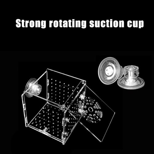 Fish Breeder Box Acrylic Fish Separator for Aquarium | Stable Container Breeding Holder Hatchery Incubator for Nursery Egg Fry Shrimp Betta Angelfish Acclimation