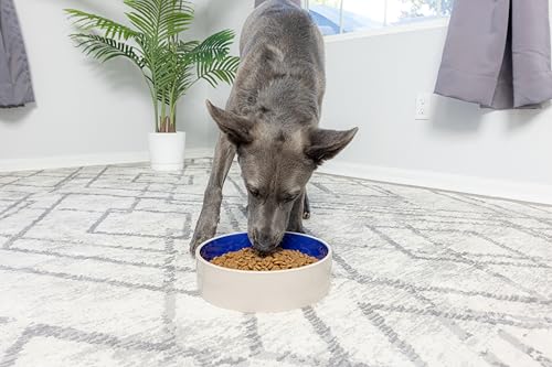 SPOT Standard Crock Dish - Heavy Duty, Non-Slip, Round Ceramic Food/Water Bowl for Pets, Ideal for Medium to Large Dogs or Multiple Animals, Dishwasher Safe - 9.5 in, 8 Cups, (64 Oz) - size: 9.5"