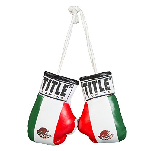 TITLE Boxing 3.5” Mini Boxing Gloves: Keyrings, Mini Boxing Gloves, Boxing Novelty Items, Boxing Gear - color: Mexican Flag