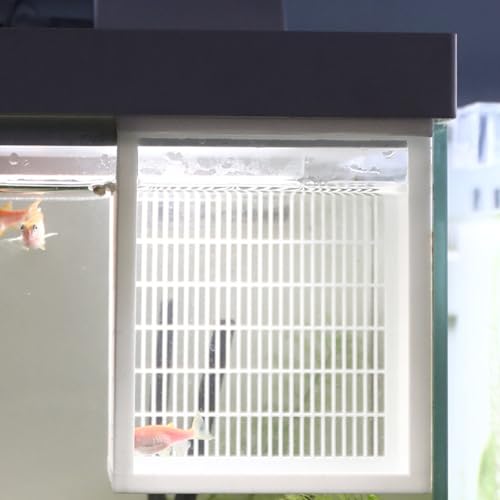 Breathable Fish Fry Nursery Box for Aquariums Protects Fry Health Simple Setup Supports Growth - color: Black