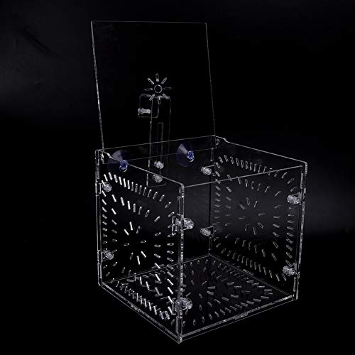 Fish Tank Breeding Box Aquarium Isolation Box High Transparency Adjustable Height Sturdy Acrylic Material for Fish Shrimp Isolation Transparent 15x15x15cm 30x15x15cm 20x20 (15CM*15CM*15CM)