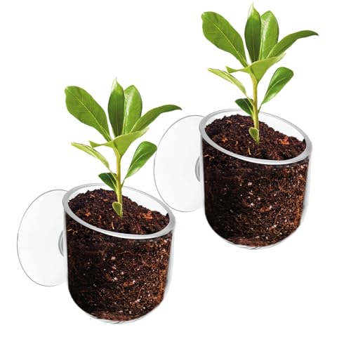 Yolev Aquarium Plant Holder 2Pack Clear Plant Holder Pot Holder Planter Cup | for Fish Tank, Hanging Fish Tank Plants, for Aquarium, with Suction Cup