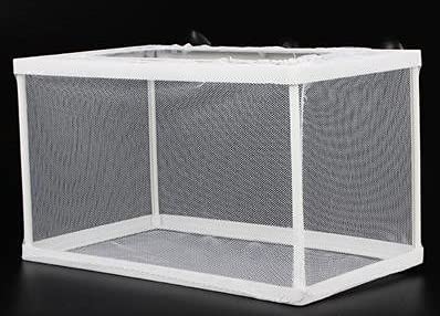 Fish Nursery for Aquarium-Fish,Aquarium Fish Breeder Box, Hatching Box, Juvenile Fish Spawning Incubator, Water Isolation Net Hatchery、Fish Isolation Box (Rectangle-no partition) - color: rectangle-no partition