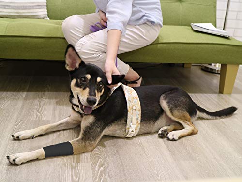 FRESINIDER 9 Rolls Self Adhesive Wrap Athletic Tape Gauze, Breathable Elastic Cohesive Bandage for Sports Injury & Pet (7 Pcs 2" x 5 Yards + 2 Pcs 1" X 5 Yards) (Black) - color: Black