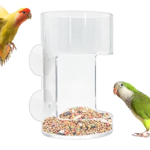 Betta Fish Feeder - Fish Feeding Tube, Clear Feeding Tube Shrimp Feeder | Shrimp Feeding Dish, Betta Feeder with Suction Cup, Transparent Aquarium Feeder Bird Feeder, Fish Tank Accessories for Fish - size: round