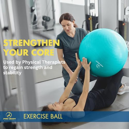 ProBody Pilates Yoga Ball - Gym Grade Exercise Ball | Sizes 45/55/65/75/85 cm, 880 lb Load, CA 10P Cert, PT & Prenatal Use, Recommended by OBs, Pump - color: Blue, size: L: 23-26 inches/58-65 cm