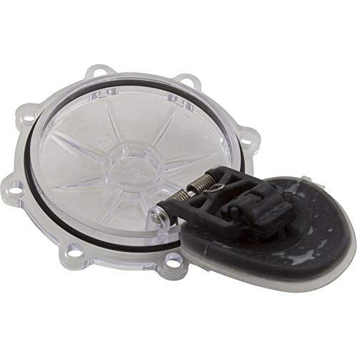 Pentair Rebuild Kit, Check Valve, CPVC 2"